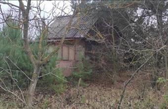 Eladó Nyíregyházai egyéb mezőgazdasági ingatlan hirdetés (25747263)