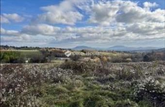 Eladó Lesencefalui külterületi telek hirdetés (49573644)