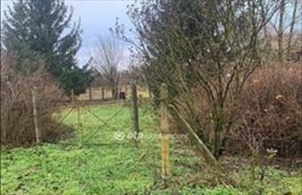 Eladó Nyíregyházai egyéb telek hirdetés (24257142)