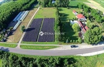 Eladó Csongrádi termőföld, szántó hirdetés (88434319)