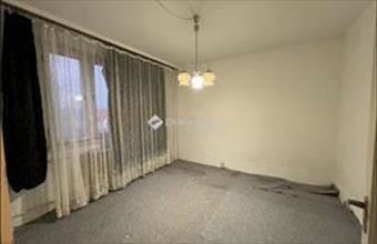 Eladó Algyői panel lakás hirdetés (13573532)