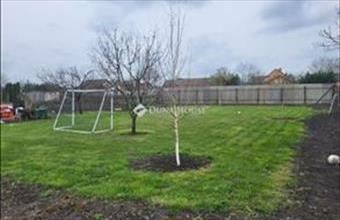 Eladó Szegedi lakóövezeti telek hirdetés (33413433)