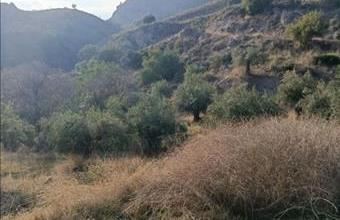 Eladó Spanyolországi lakóövezeti telek hirdetés (46344544)