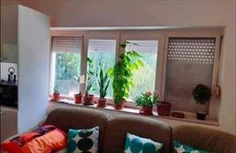 Eladó Gárdonyi hétvégi ház hirdetés (72375596)