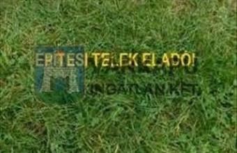 Eladó Csókakői lakóövezeti telek hirdetés (55575492)