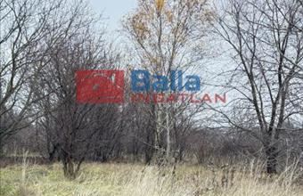 Eladó Budapest XVII. kerületi egyéb telek hirdetés (74143354)