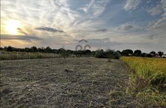 Eladó Bicskei lakóövezeti telek hirdetés (83459755)