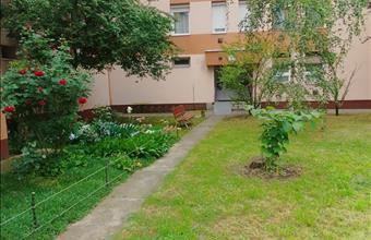 Eladó Törökszentmiklósi panel lakás hirdetés (82937877)