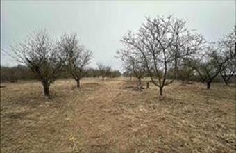 Eladó Váci egyéb telek hirdetés (42576834)