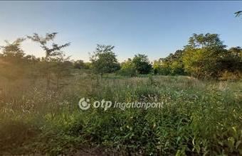 Eladó Felcsúti lakóövezeti telek hirdetés (97412299)