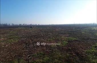 Eladó Kápolnásnyéki külterületi telek hirdetés (93714545)