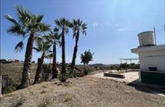 Eladó Spanyolországi tanya hirdetés (23499543)