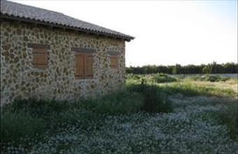 Eladó Spanyolországi tanya hirdetés (45396778)