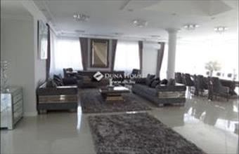 Eladó Ürömi családi ház hirdetés (45499543)