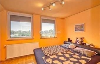 Eladó Gyáli ikerház hirdetés (43358394)