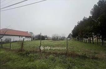 Eladó Tápiószelei lakóövezeti telek hirdetés (22344794)