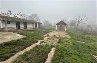 Eladó Egyeki családi ház hirdetés (93475139)