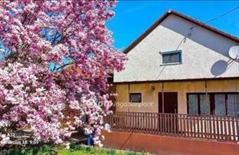 Eladó Ceglédi családi ház hirdetés (93117424)