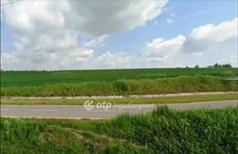 Eladó Kisapostagi egyéb mezőgazdasági ingatlan hirdetés (39332399)