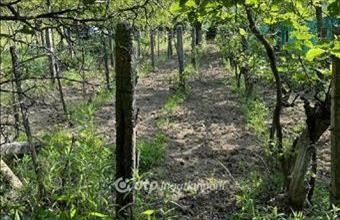 Eladó Iszkaszentgyörgyi egyéb telek hirdetés (89936543)