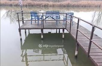 Eladó Dunaharaszti családi ház hirdetés (47752954)