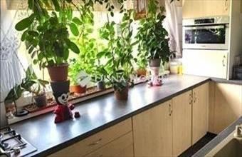 Eladó Szegedi panel lakás hirdetés (76777336)