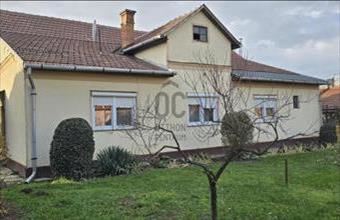 Eladó Tiszacsegei családi ház hirdetés (59482152)