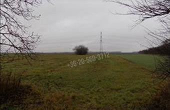 Eladó Magyarkeresztúri egyéb telek hirdetés (79423459)