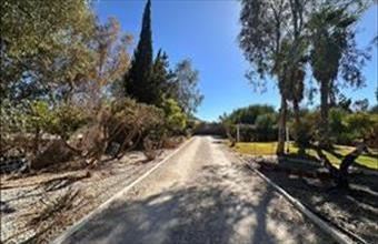 Eladó Spanyolországi tanya hirdetés (78442373)