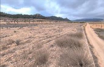 Eladó Spanyolországi lakóövezeti telek hirdetés (17373478)