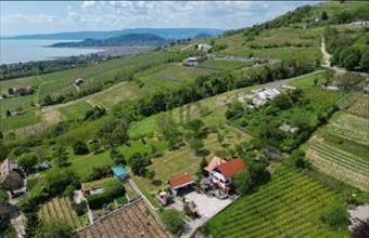 Eladó Badacsonytomaji hétvégi ház hirdetés (43998932)