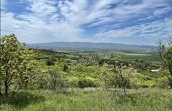 Eladó Váci egyéb telek hirdetés (32924633)