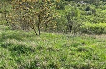 Eladó Váci egyéb telek hirdetés (32924633)