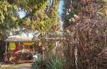 Eladó Váci családi ház hirdetés (69345428)