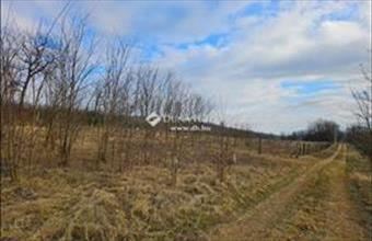 Eladó Fóti külterületi telek hirdetés (99313944)