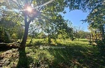 Eladó Budapest XVI. kerületi családi ház hirdetés (31564123)