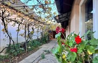 Eladó Kállói családi ház hirdetés (43792476)