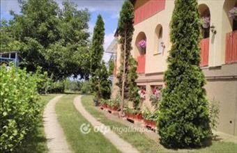 Eladó Nyírmadai családi ház hirdetés (53943694)