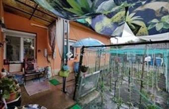 Eladó Vecsési családi ház hirdetés (78849848)