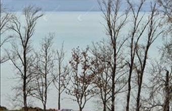 Eladó Siófoki panel lakás hirdetés (55952627)