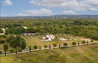 Eladó Horvátországi hétvégi ház hirdetés (13773492)