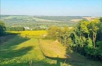 Eladó Zalacsányi zártkert hirdetés (34734555)