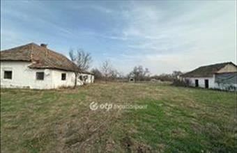 Eladó Szentesi tanya hirdetés (79976379)