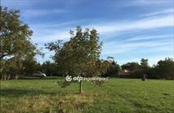 Eladó Domoszlói lakóövezeti telek hirdetés (98397443)