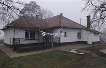Eladó Lajosmizsei tanya hirdetés (35117639)