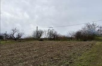 Eladó Ádándi egyéb mezőgazdasági ingatlan hirdetés (19337994)