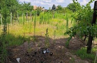 Eladó Turai családi ház hirdetés (44471497)