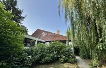 Eladó Dobozi hétvégi ház hirdetés (76488994)