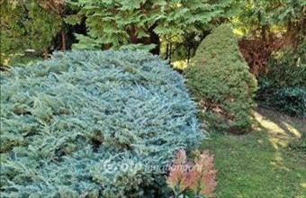 Eladó Budapest II. kerületi családi ház hirdetés (23374258)