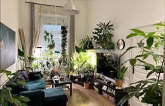 Eladó Budapest II. kerületi tégla lakás hirdetés (91855599)